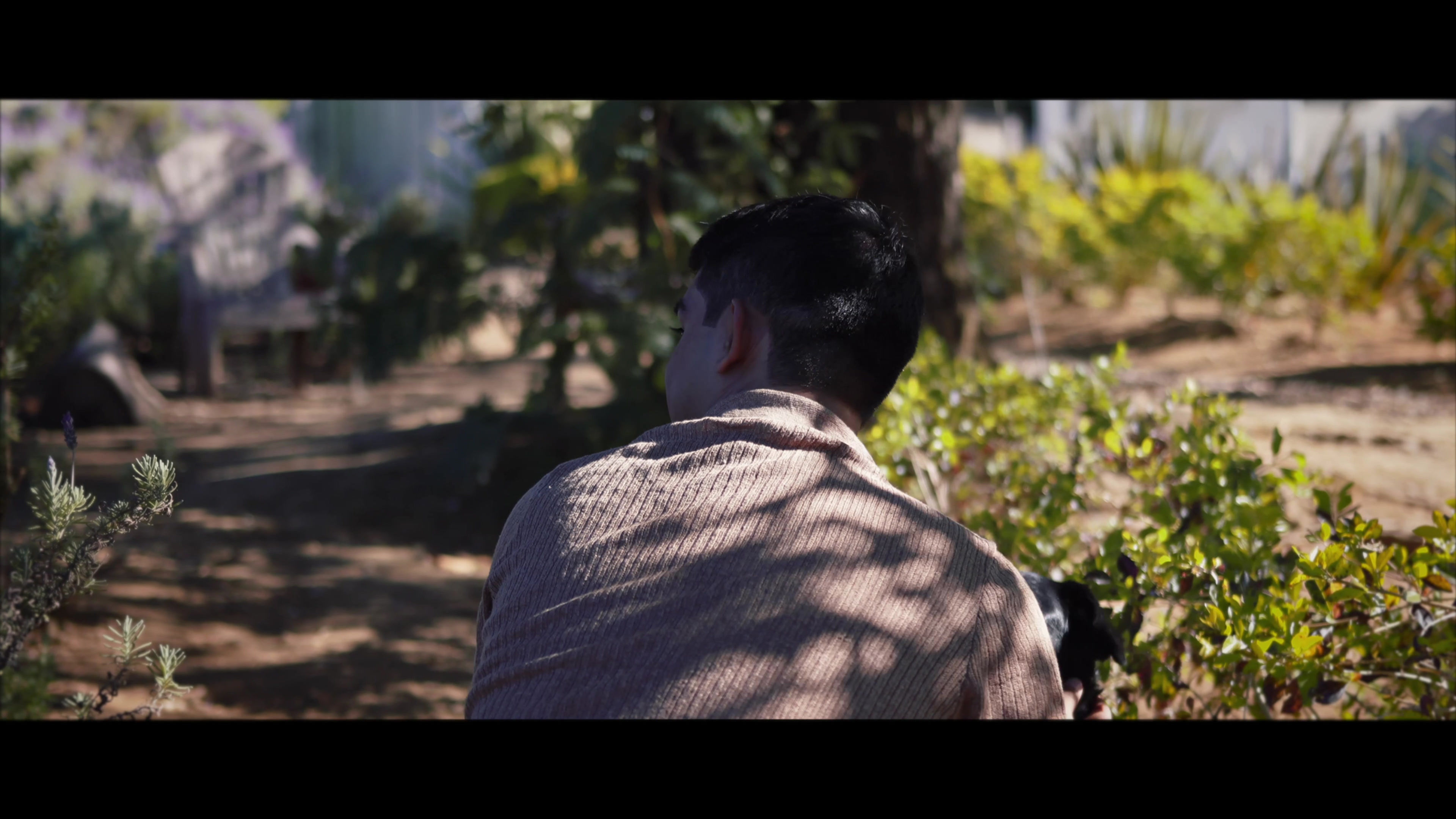 Teaser Carta de Geofrey - Geofrey y Lucia